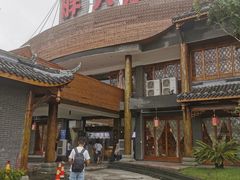 -胖大姐黄辣丁鱼庄(新津店)