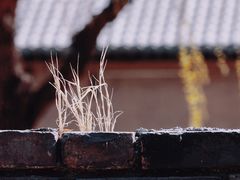 -三里河公园