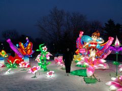 -沈阳奥体冰雪嘉年华