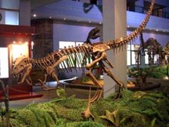-自贡恐龙博物馆