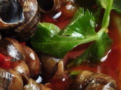 -食爺炭炉鸡煲·烧烤