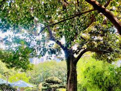 -大可堂普洱茶馆(襄阳南路馆)