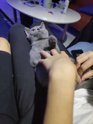 -BBVR团建聚会体验馆·亲子DIY手工