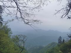 -塔云山