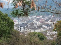 -香雪海