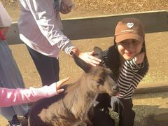 -费瑟代尔野生动物园