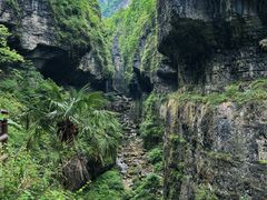 -鹿院坪生态旅游景区