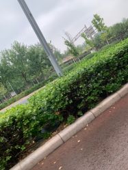 -HEYAN长风荷妍专业脱毛美肤

