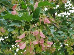 -长春公园(普阳街道)