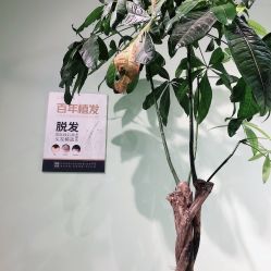 点击看大图 -初心HAlRSALON烫染接发