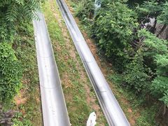 -富斯特索道