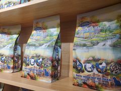 -猫十亿·布偶金渐层·曼基康矮脚猫舍(青年路店)