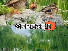 -陶然亭公园