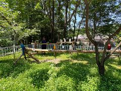 -哈尔滨北方森林动物园