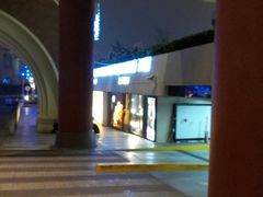 -上海波特曼丽思卡尔顿酒店