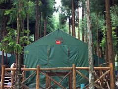 -武陵山森林公园