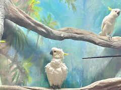 -福州罗源湾海洋世界旅游区