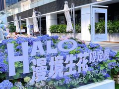 -HALO广场(梨园路店)