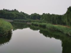 -大兴滨河森林公园