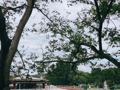 -上海月湖雕塑公园