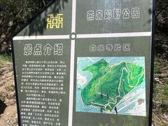 -白水寺森林公园