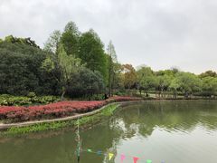 -黄兴公园