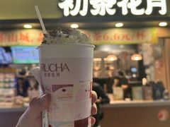 -初茶花月·重庆特产(大融城店)