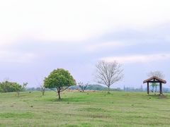 -良渚古城遗址公园