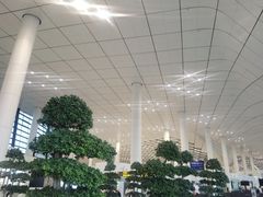 -郑州新郑国际机场