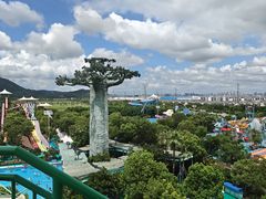 -苏州乐园森林水世界