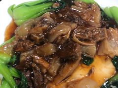 黄焖牛大筋牛肉-来顺成饭庄