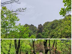 -西泰山风景区