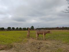 -嘉北郊野公园