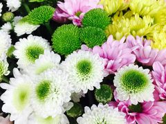 -爱尚幸福鲜花(上地实体店)