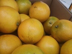 -盒马X会员店(上海森兰商都店)