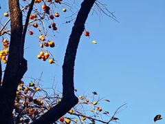 -北海公园-停车场