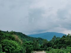 二楼风景位-天强农家菜馆
