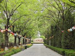 -大槐树寻根祭祖园