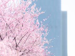 -白塘生态植物园