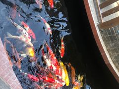 -侠成水上农庄(工业大道店)
