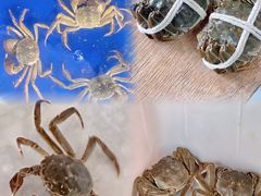 -阳澄湖大闸蟹·琼灵阁牌品牌连锁(吴中总店)