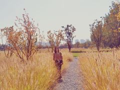 -汉长安城未央宫国家考古遗址公园