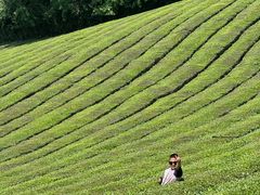 -敬亭山风景名胜区