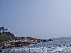 -广东惠东海龟国家级自然保护区
