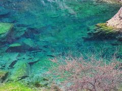 -叠溪松坪沟景区