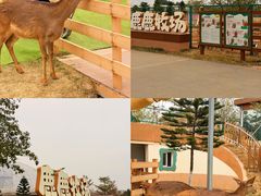 -盈香心动乐园