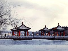 -长春市南湖公园