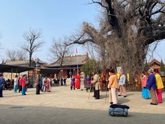 -大槐树寻根祭祖园