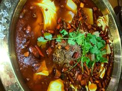 -受气牛肉·重庆耙牛肉(来福士店)