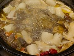 -蘑统田下·野生菌火锅